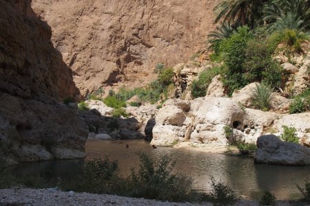 Groene oase in Wadi Shab